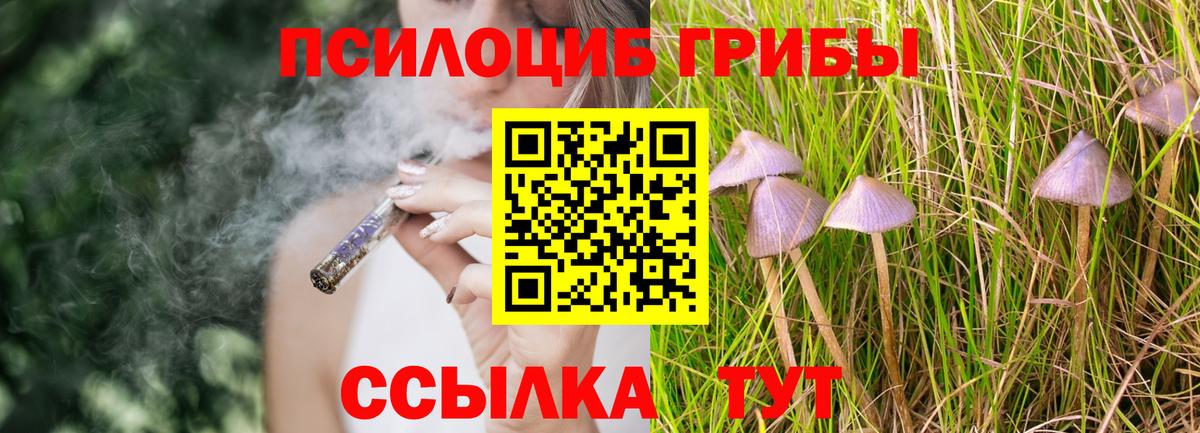 Галлюциногенные грибы мухоморы Дзержинский